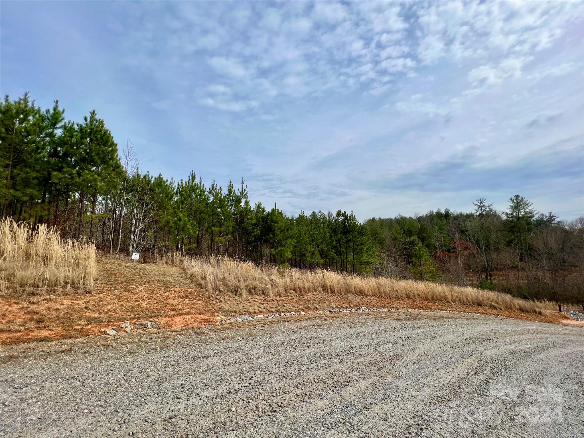 The Coves Mountain River Club - Land