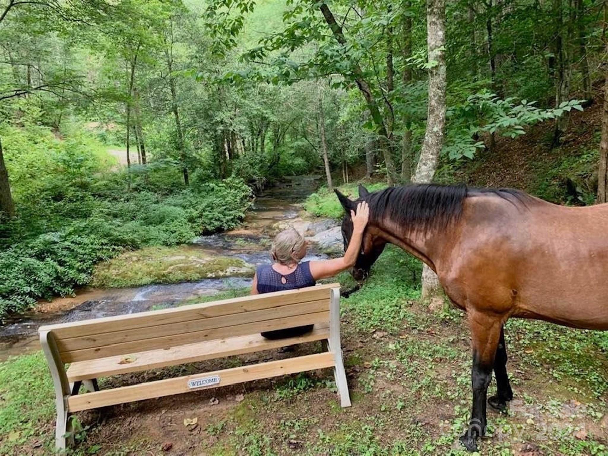 The Coves Mountain River Club - Land