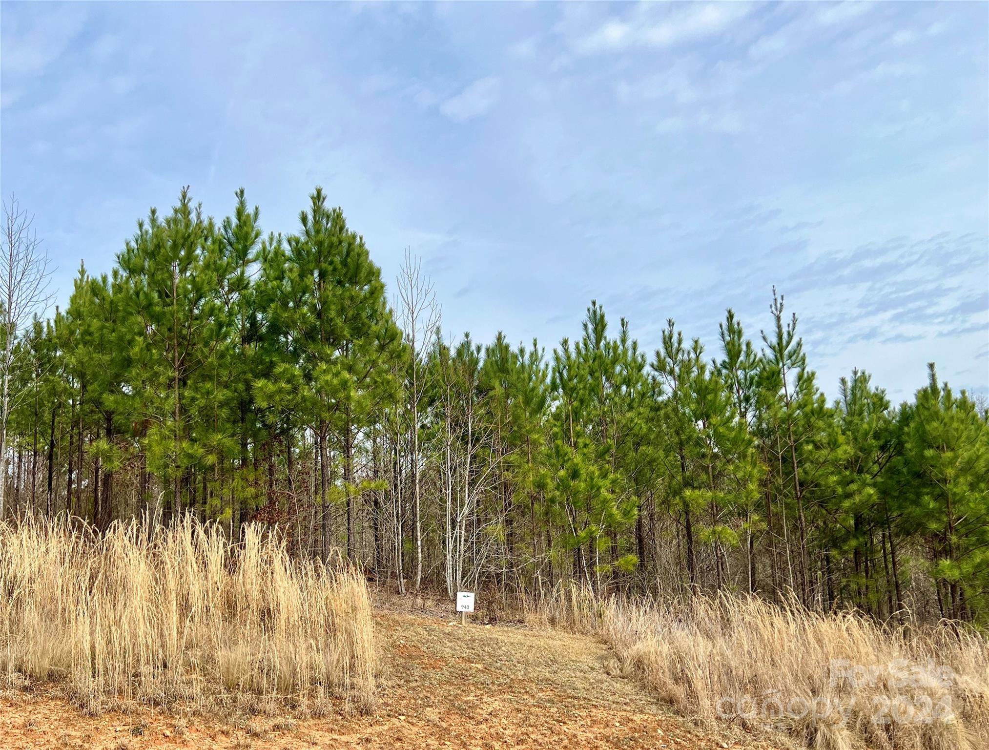 The Coves Mountain River Club - Land