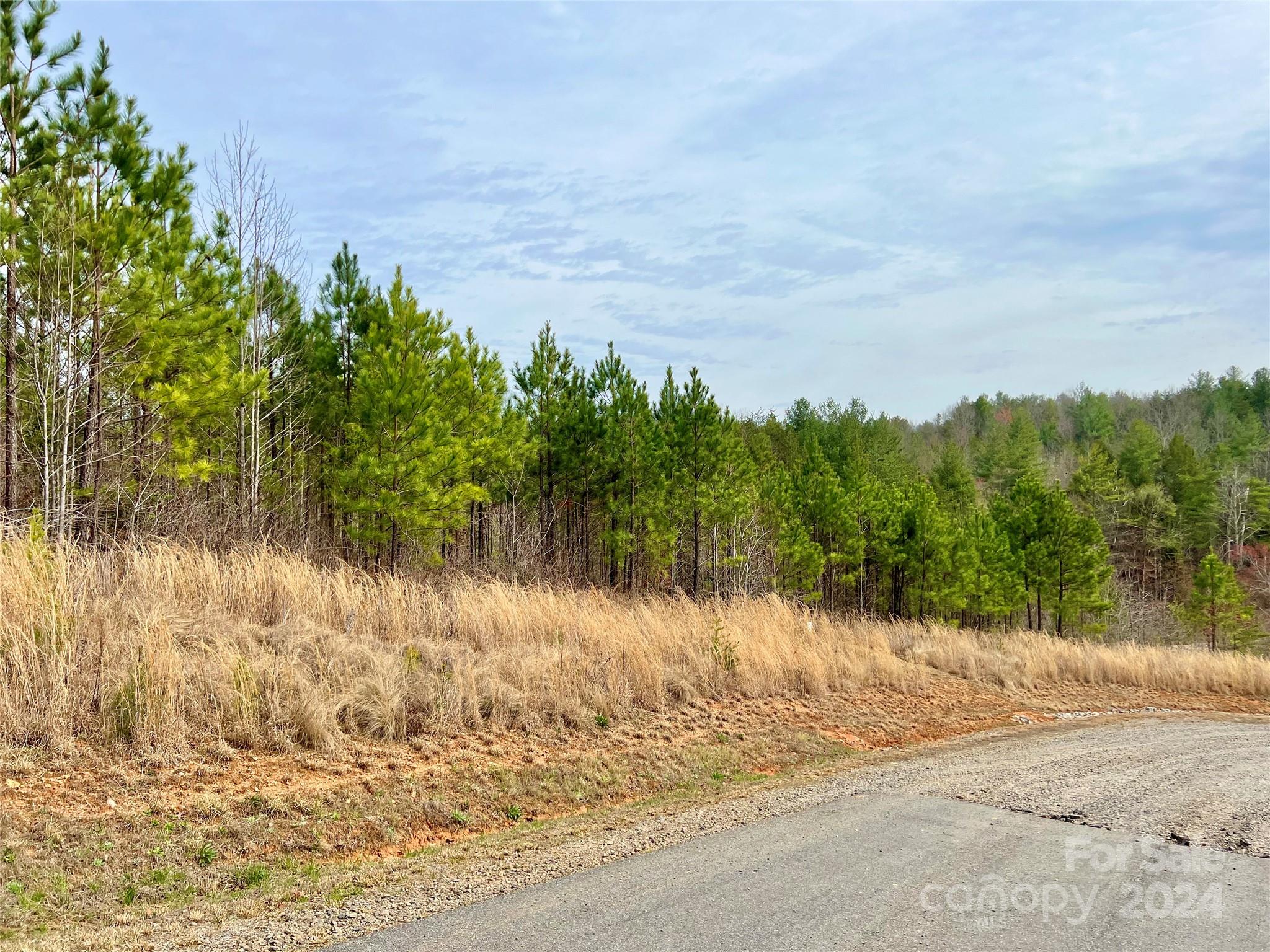 The Coves Mountain River Club - Land