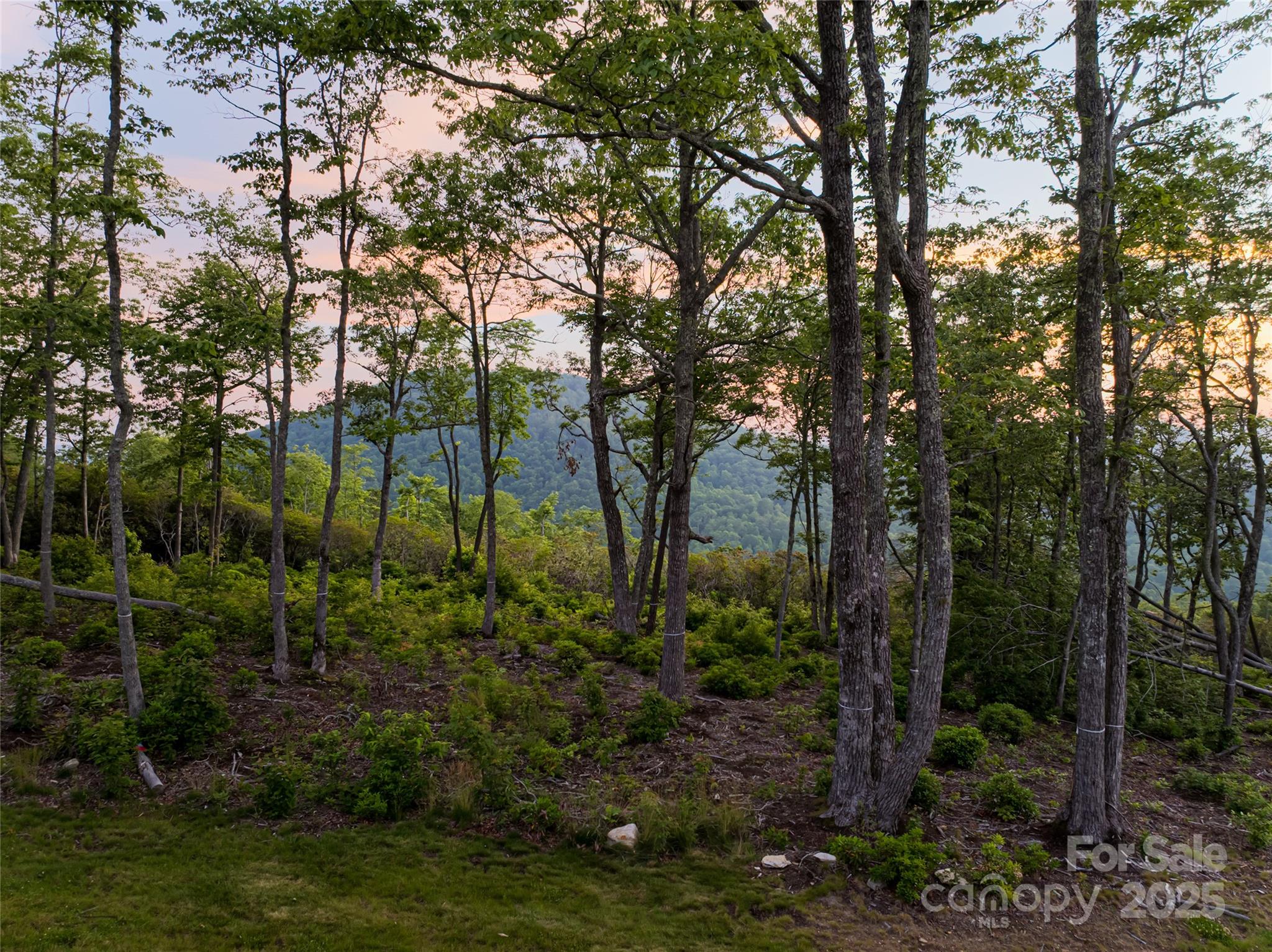 000 East Garden Trail 47