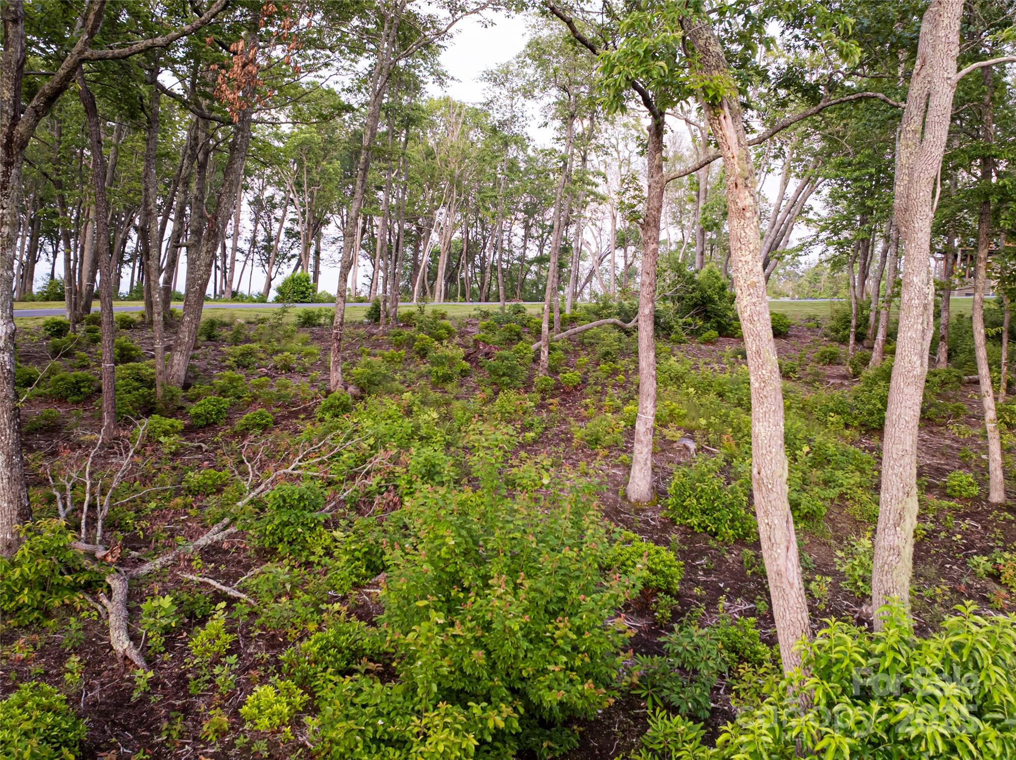 000 East Garden Trail 47