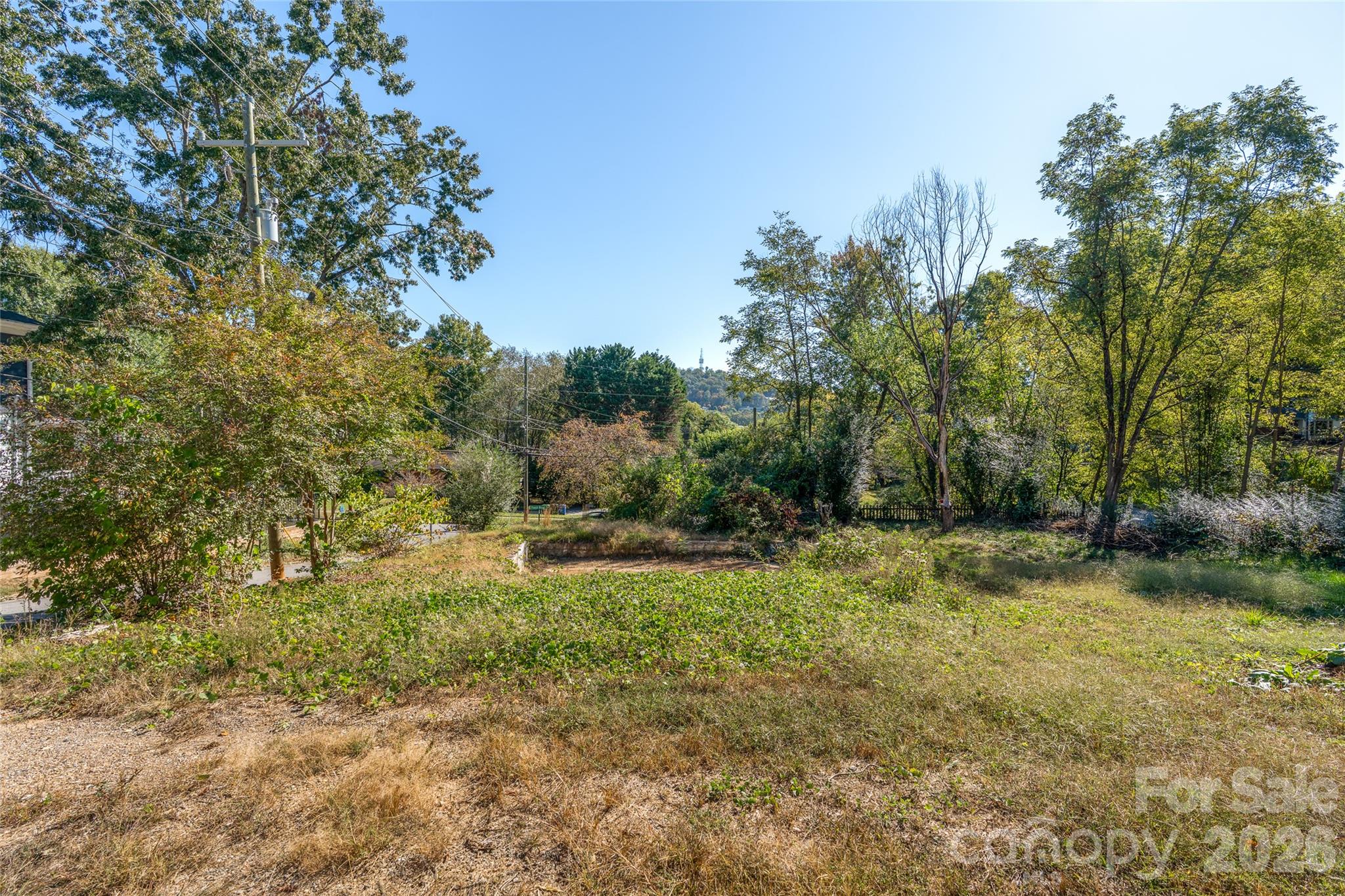 271 S French Broad Avenue