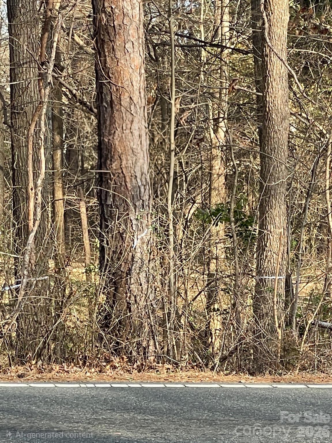 2205 Sam Newell Road 2