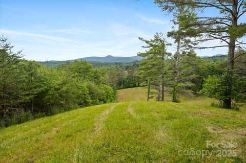 942 Paint Fork Road Mars Hill NC 28754