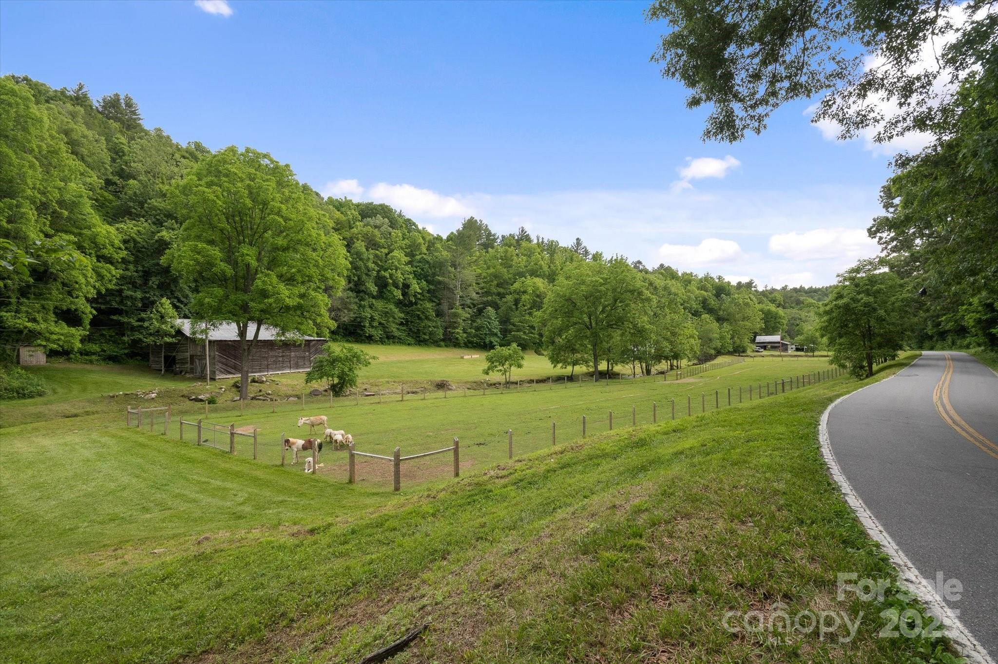 942 Paint Fork Road