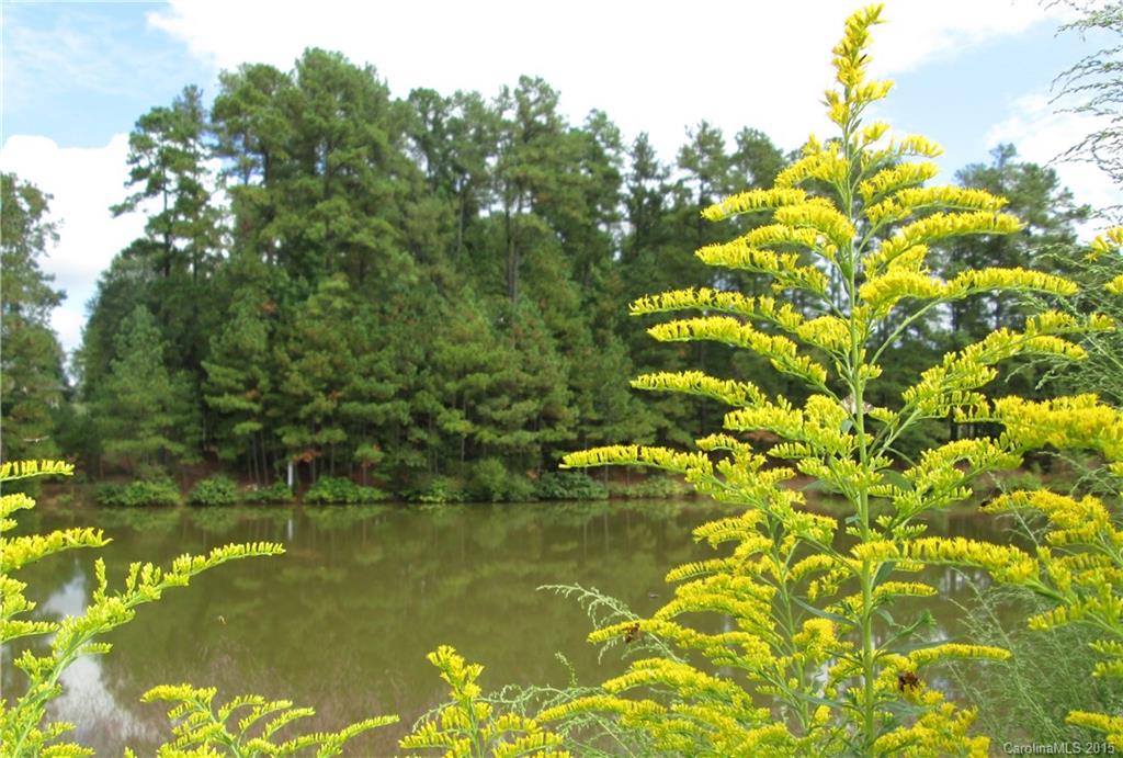 Rosecliff - Residential