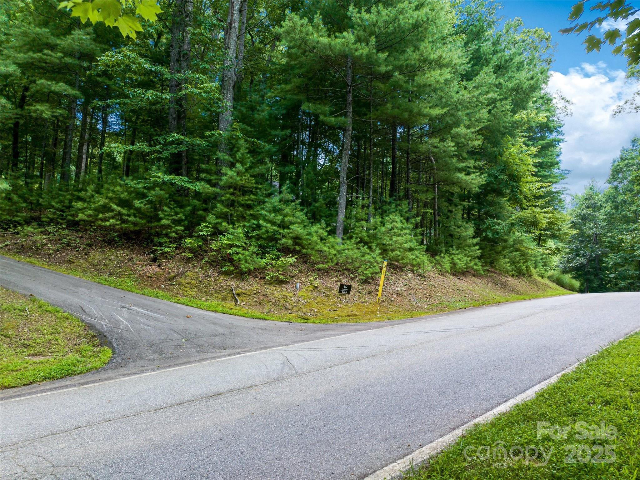 36 Dividing Ridge Trail 5