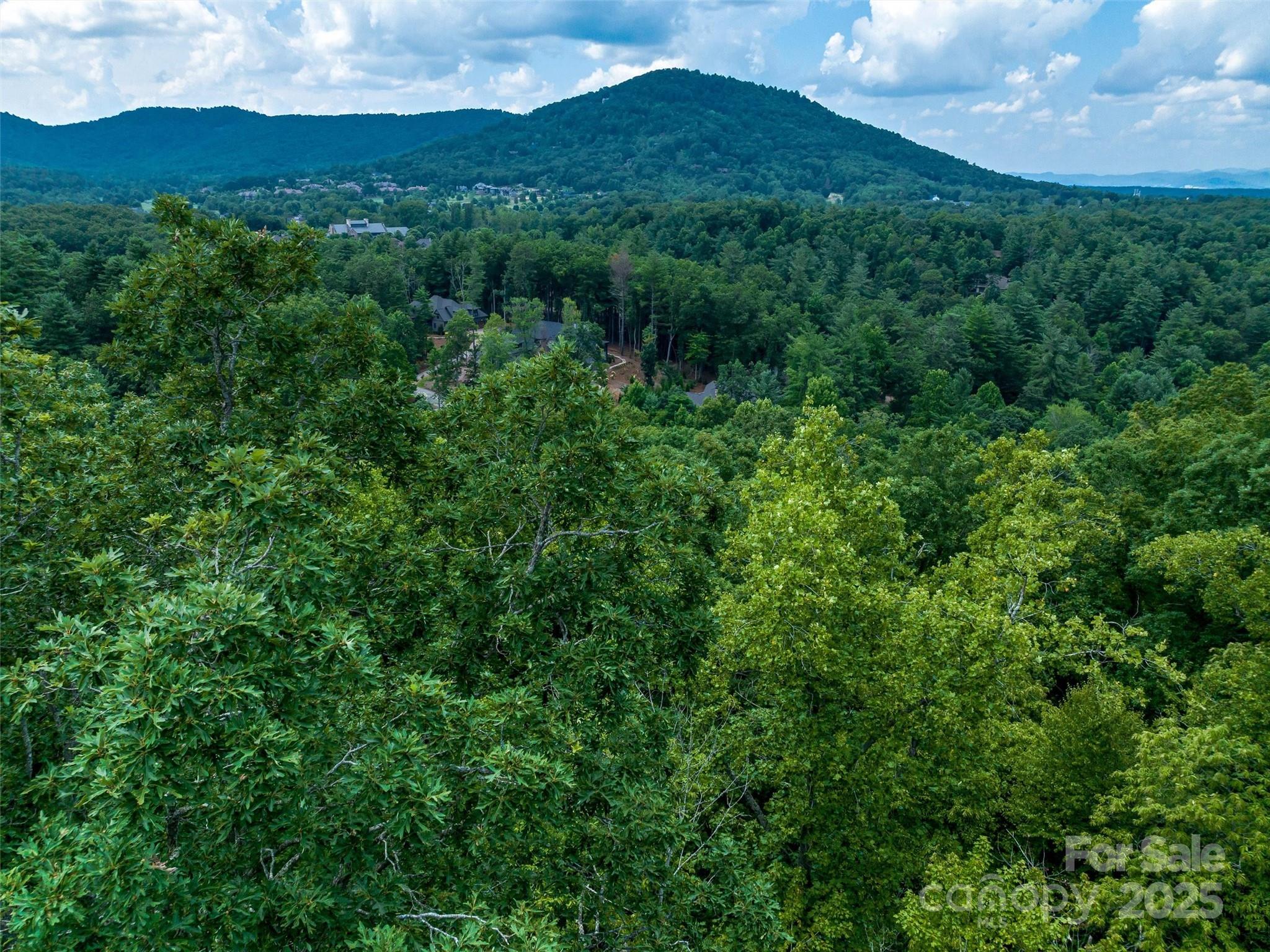 36 Dividing Ridge Trail 5
