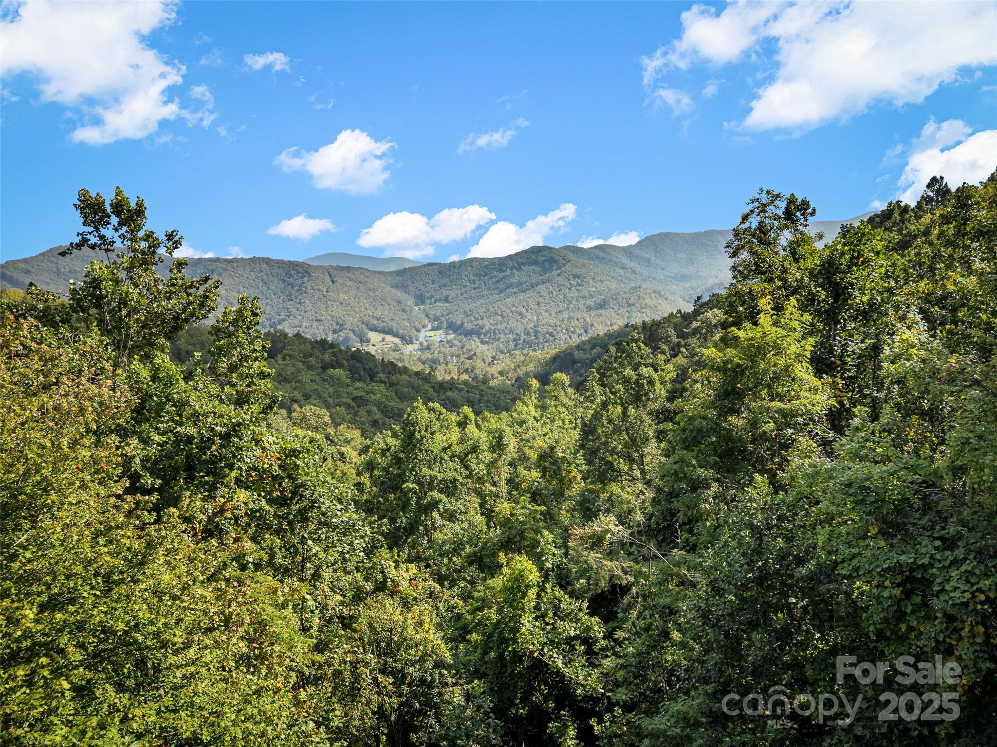1299 Pine Ridge Road