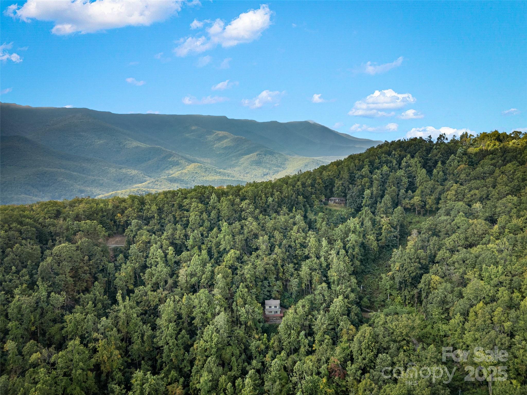 1299 Pine Ridge Road