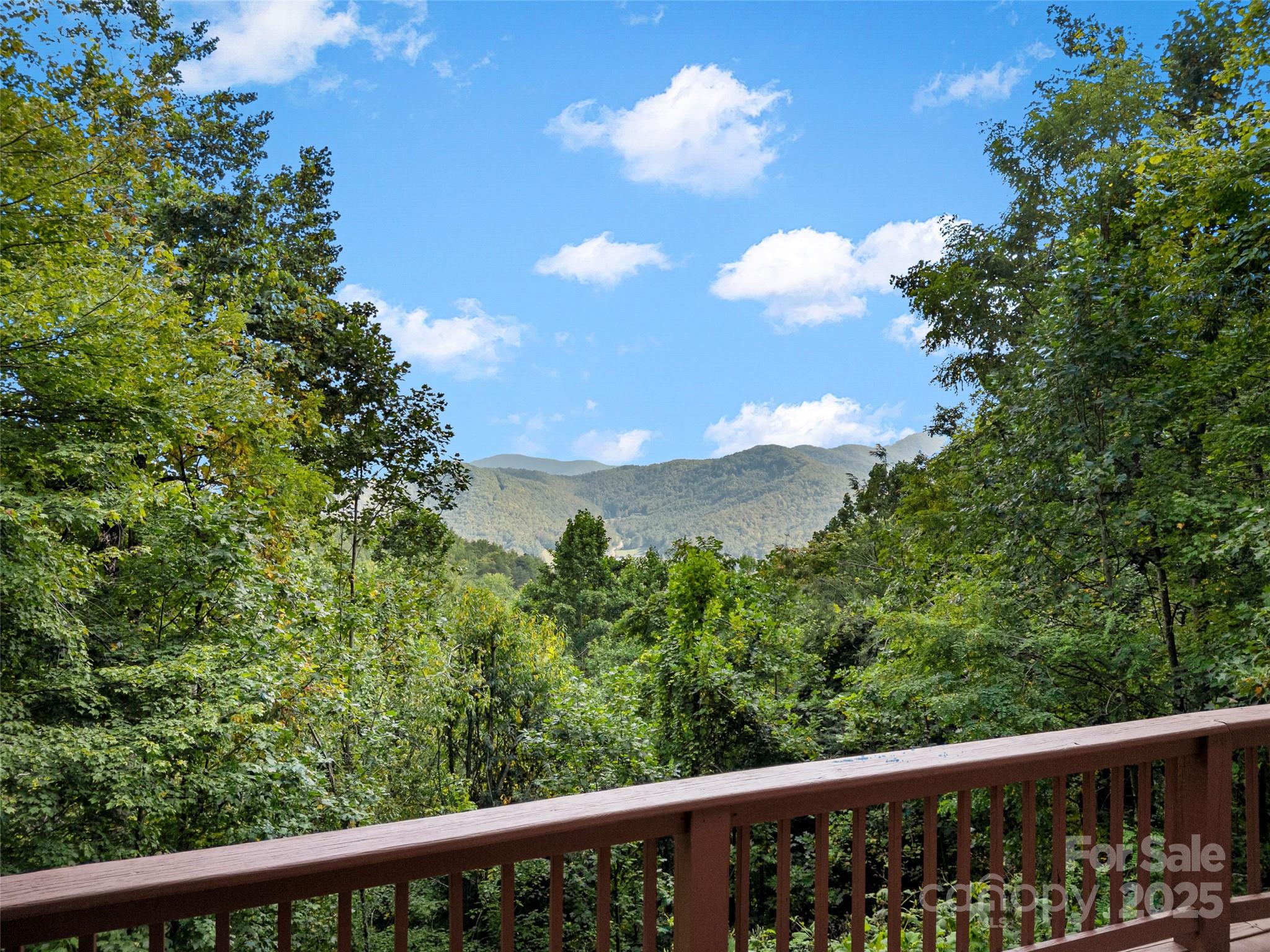 1299 Pine Ridge Road