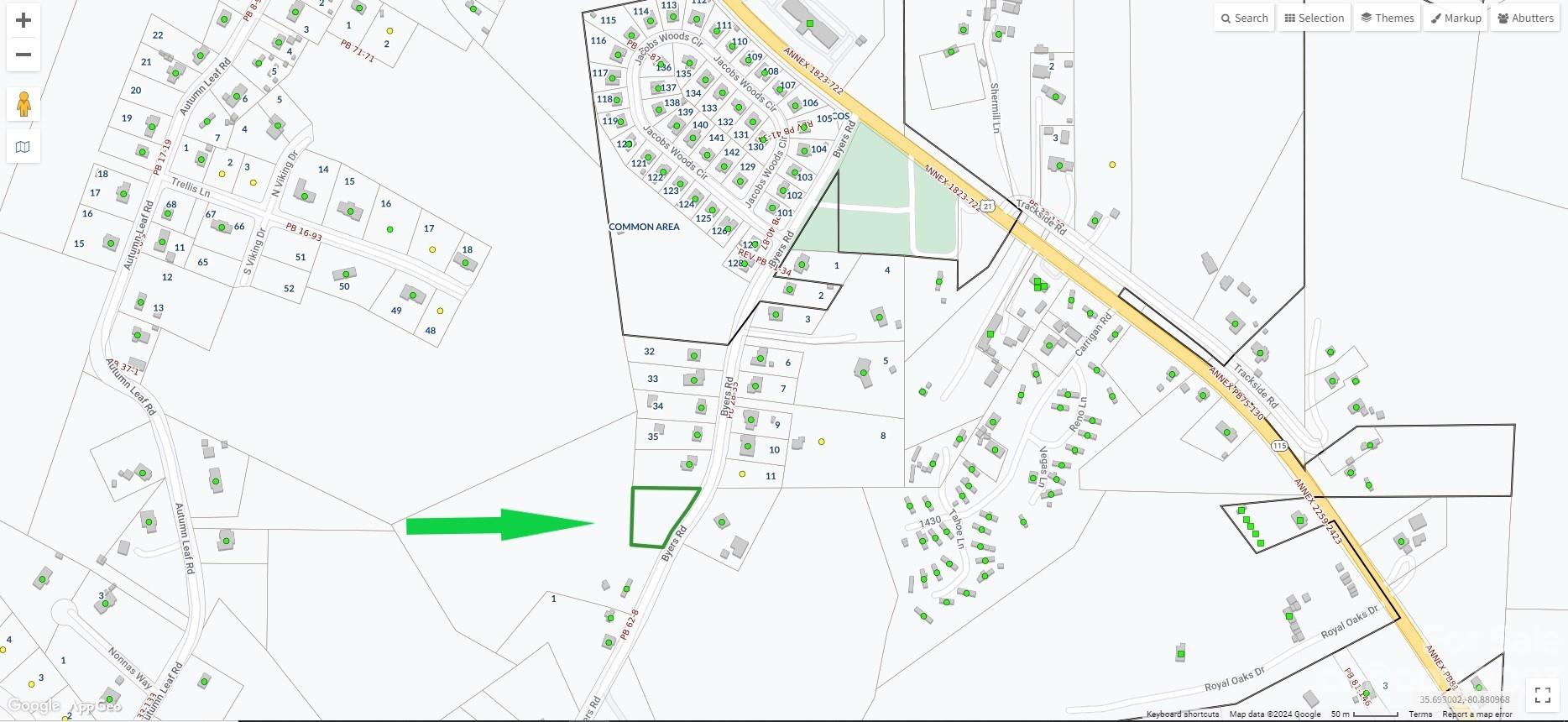 Main image without alt text