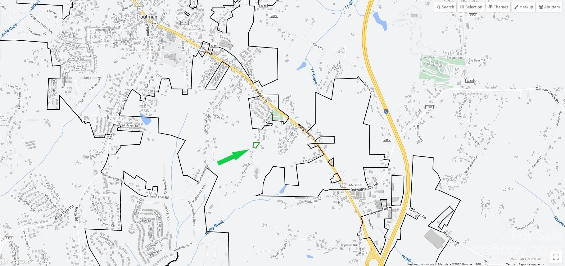 Main image without alt text