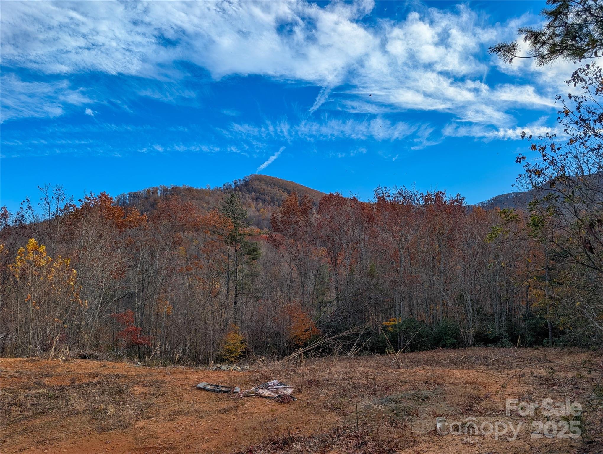 Cherry Hollow - Land