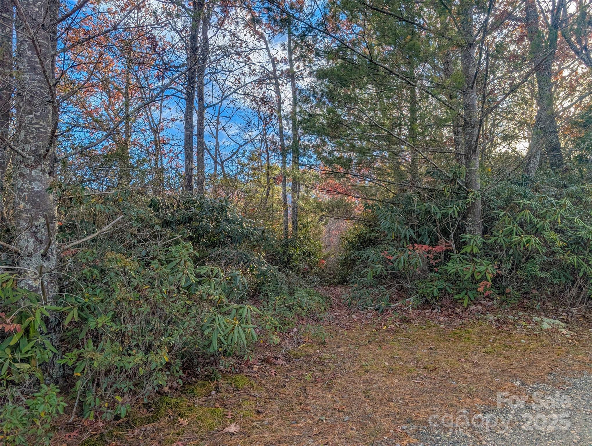 Cherry Hollow - Land