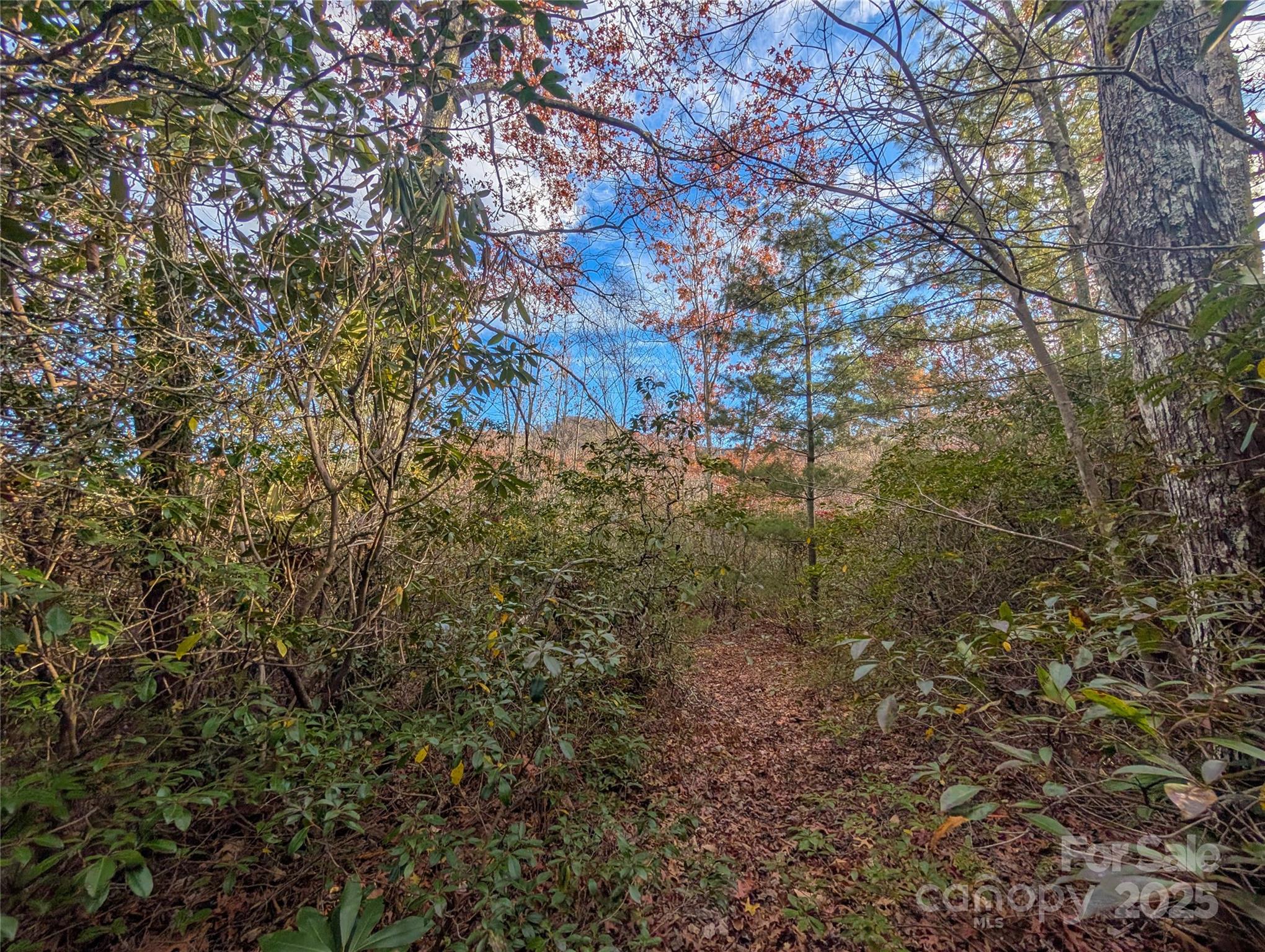 Cherry Hollow - Land