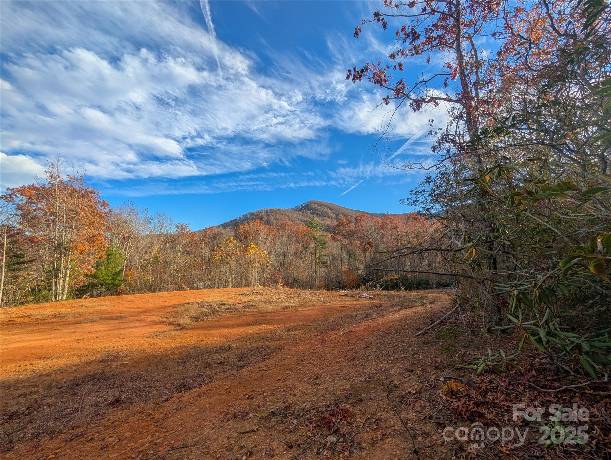 Cherry Hollow - Land