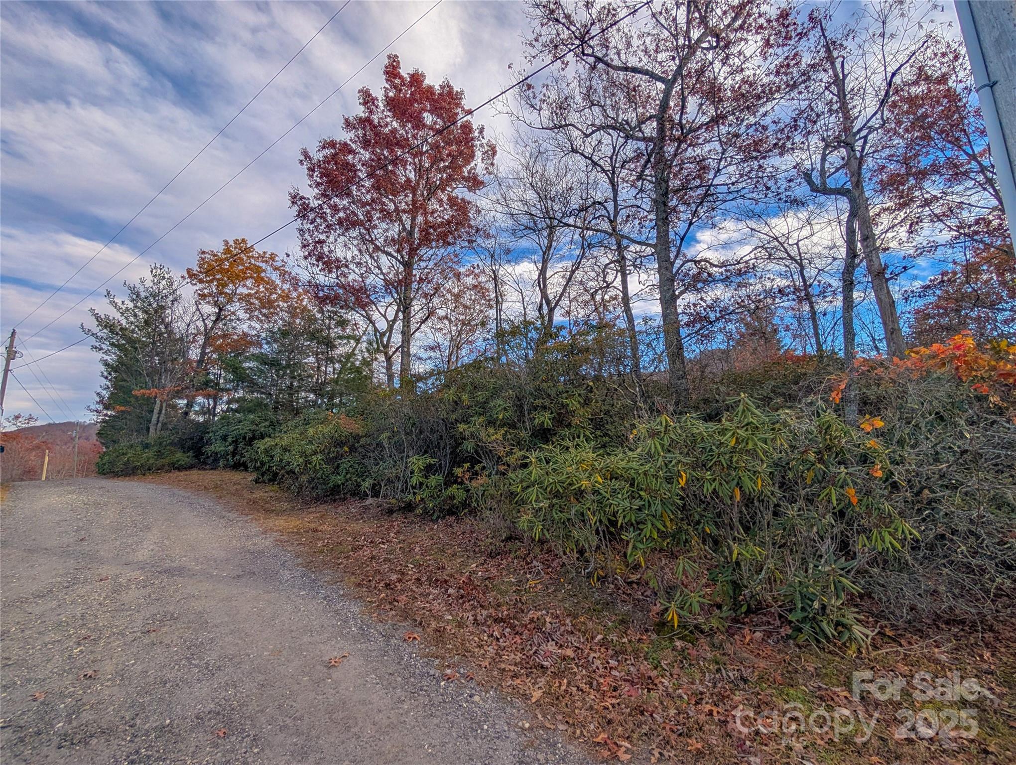 Cherry Hollow - Land