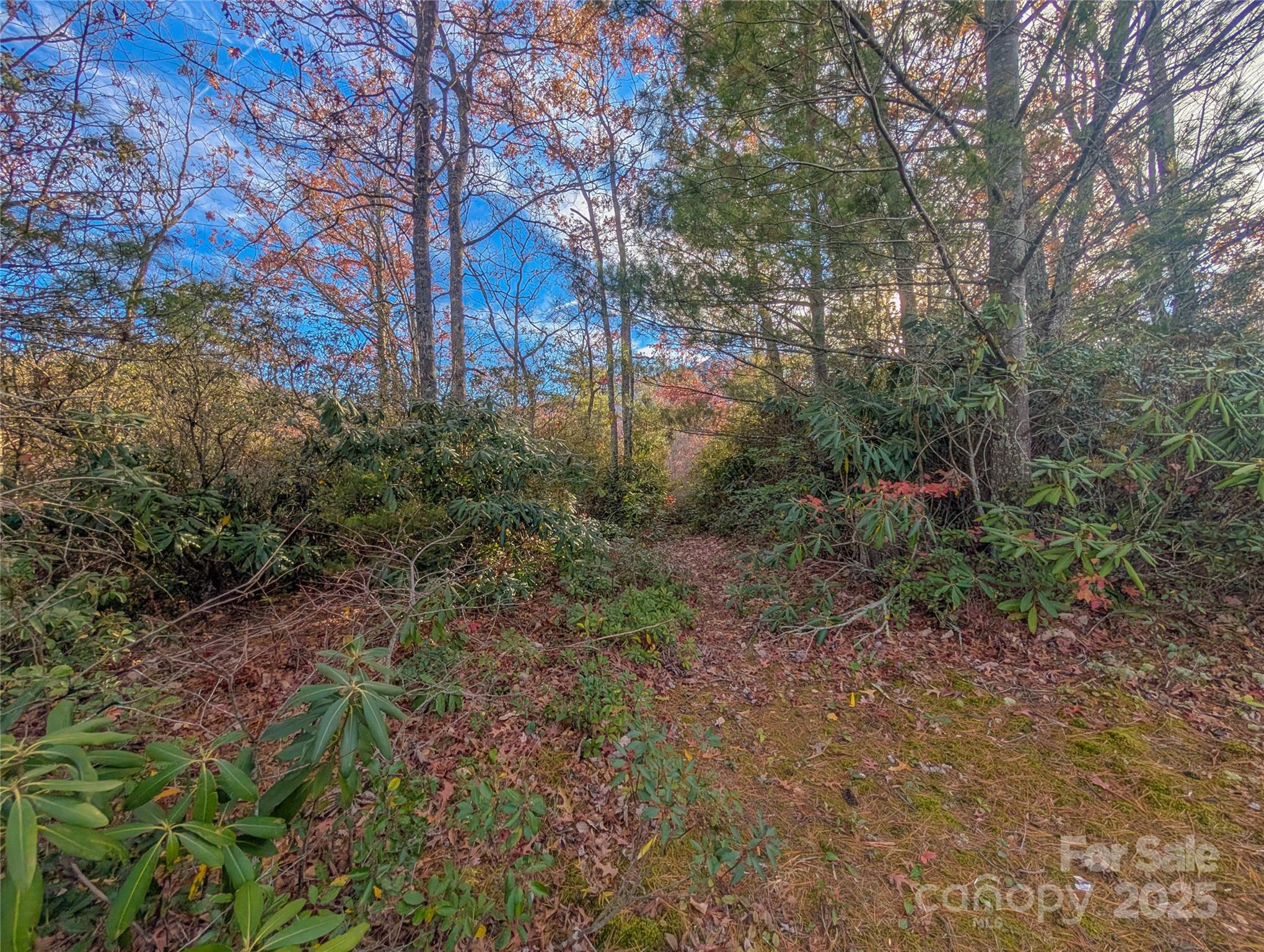 Cherry Hollow - Land