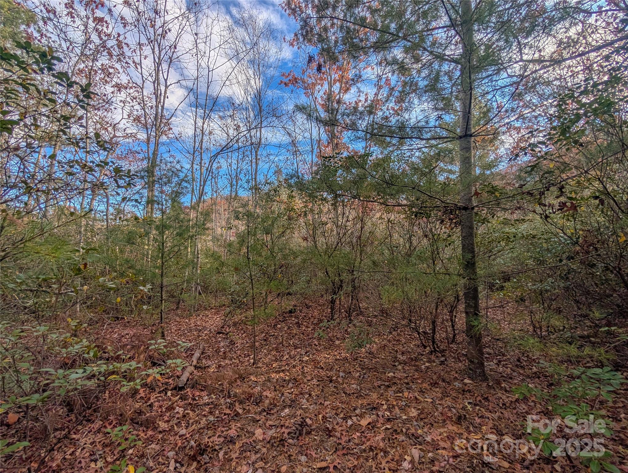 Cherry Hollow - Land