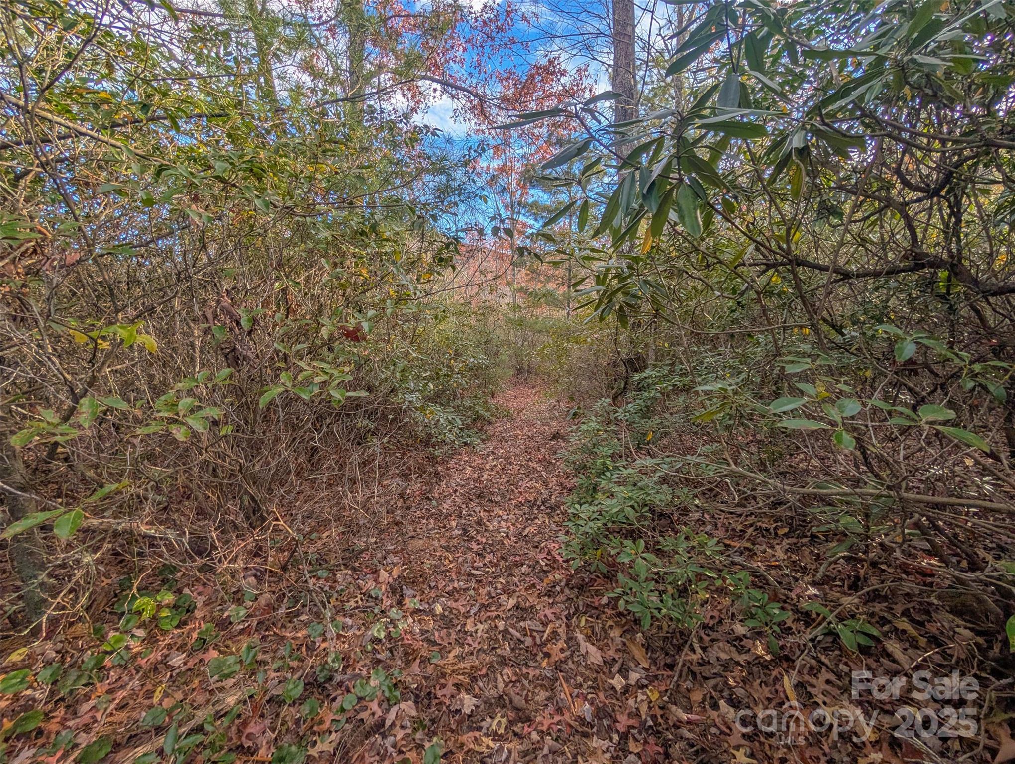 Cherry Hollow - Land