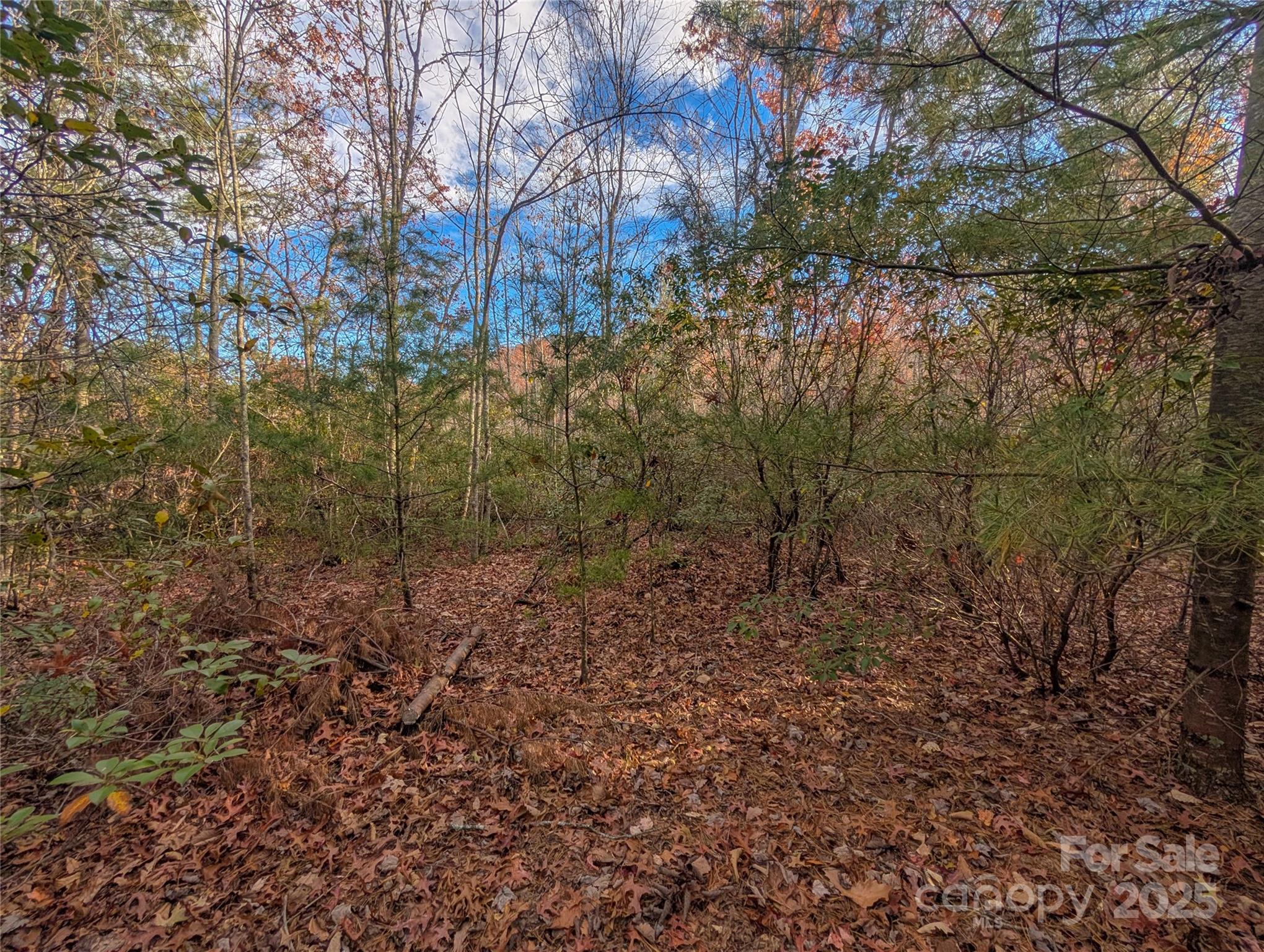 Cherry Hollow - Land