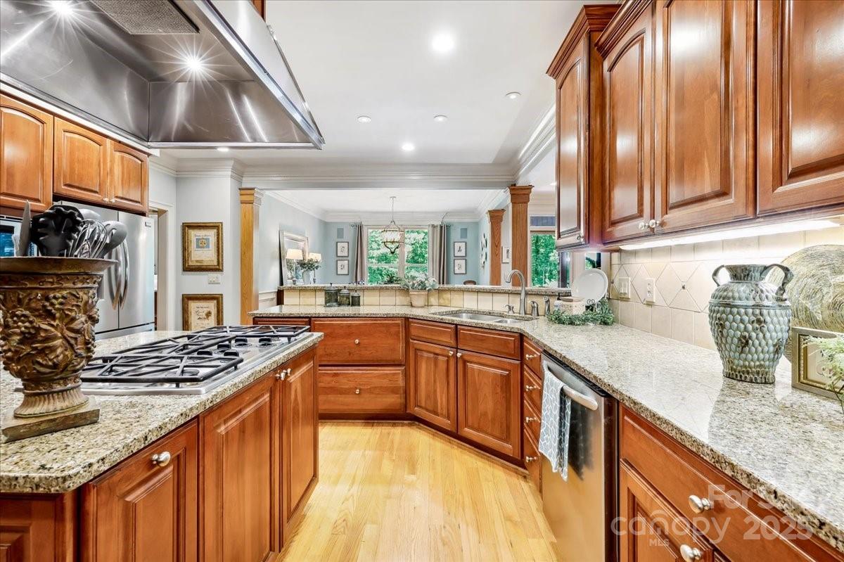 The Springs At High Rock - Residential