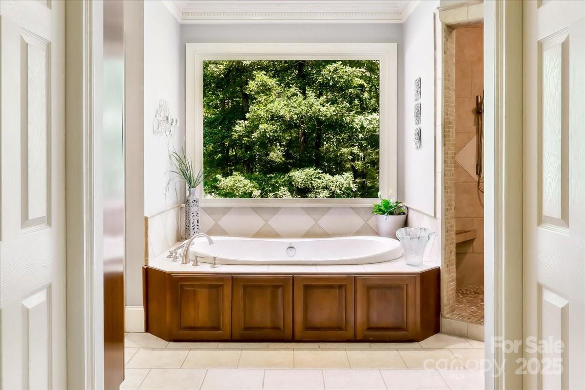 The Springs At High Rock - Residential