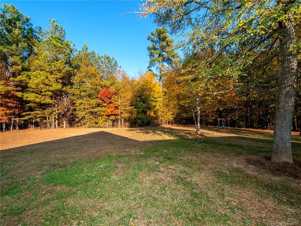 Wild Pine - Residential