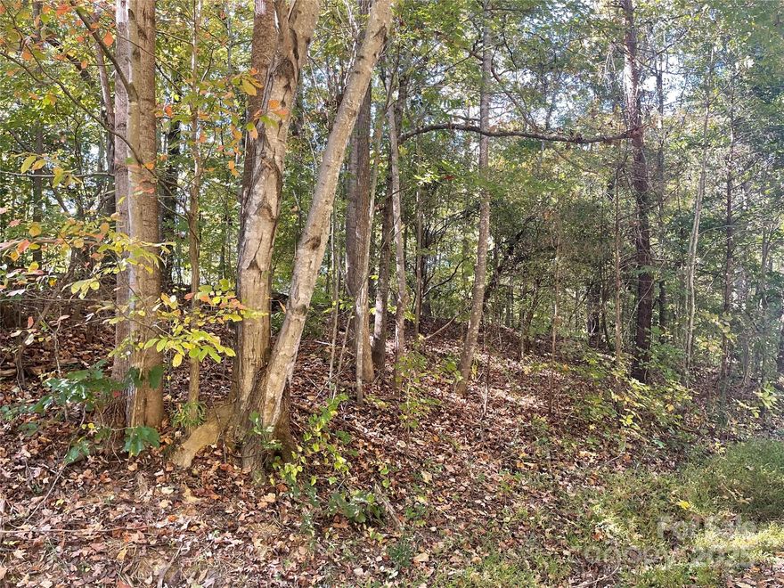 Investors, come and build your home on this lot. This lot has 2 parcels. Combined lot is 1.52 acres. Each lot is .76 acres. Lot is suitable for crawlspace or basement. Lot is not suitable for conventional septic system has been tested by soil evaluations. No municipal water or sewer in the neighborhood. There are other parcels for sale right across this lot.
