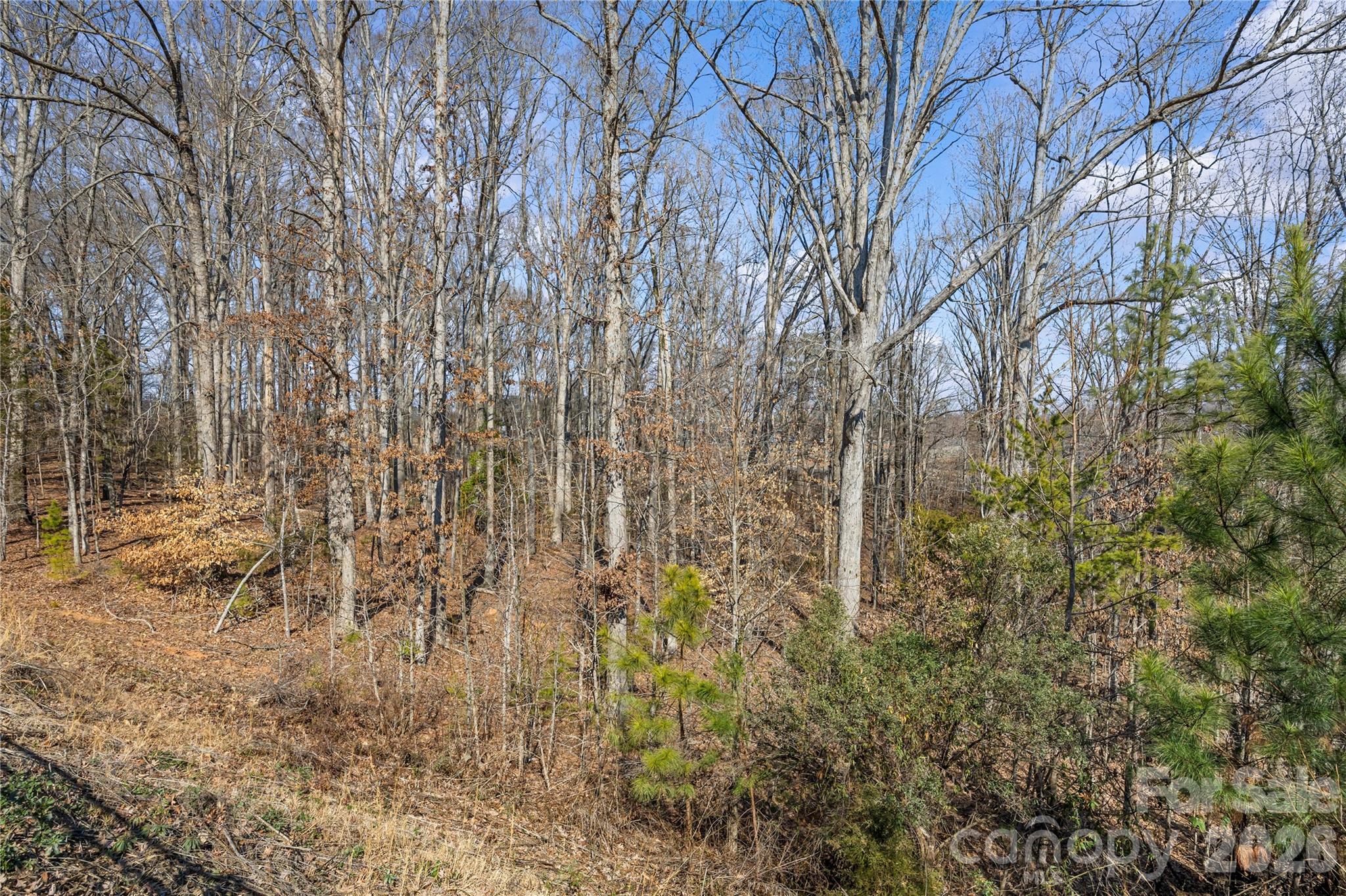 Pecan Ridge - Residential