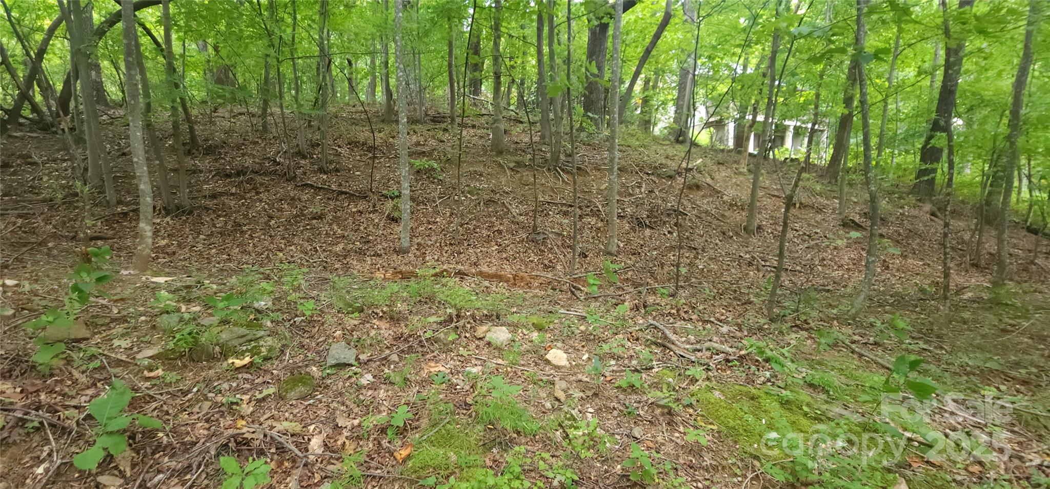 White Oak Mountain - Land