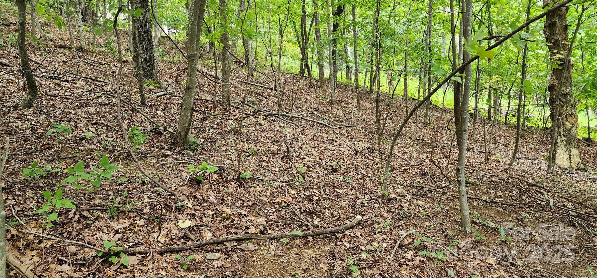 White Oak Mountain - Land