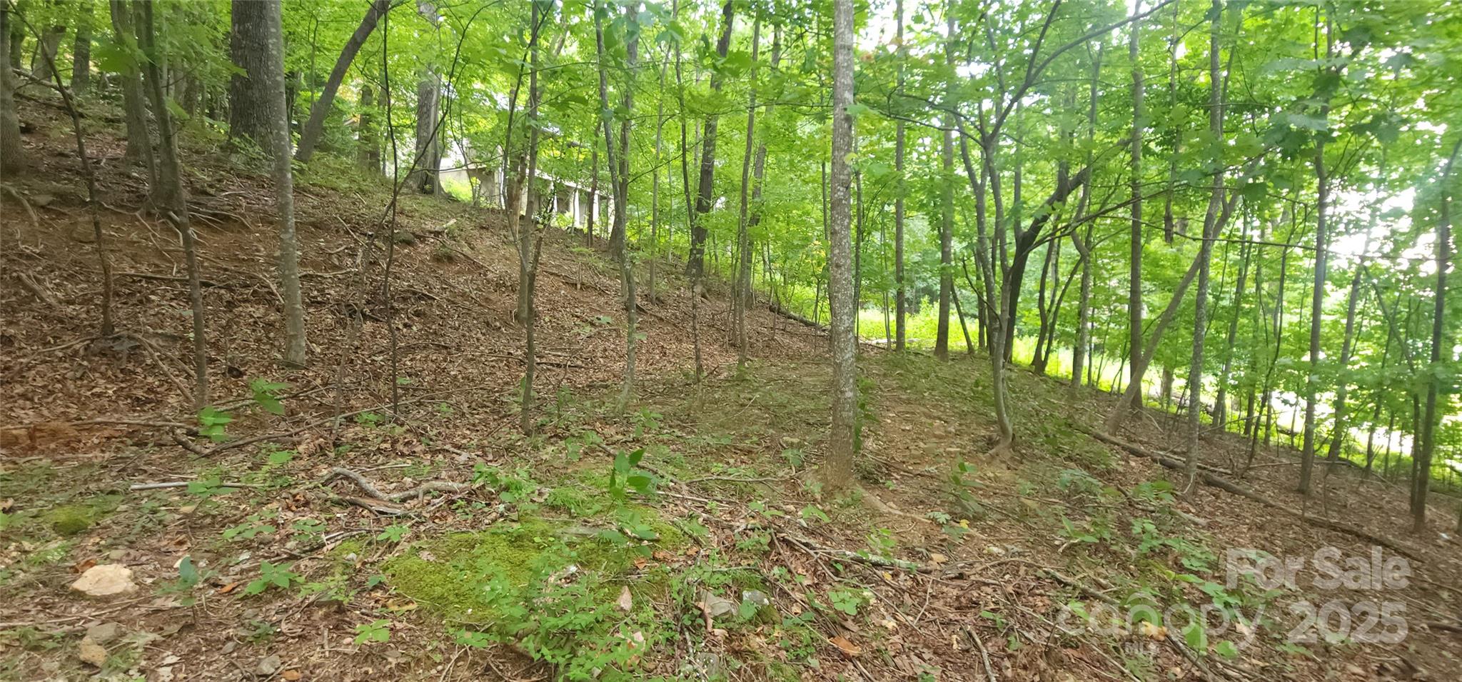 White Oak Mountain - Land