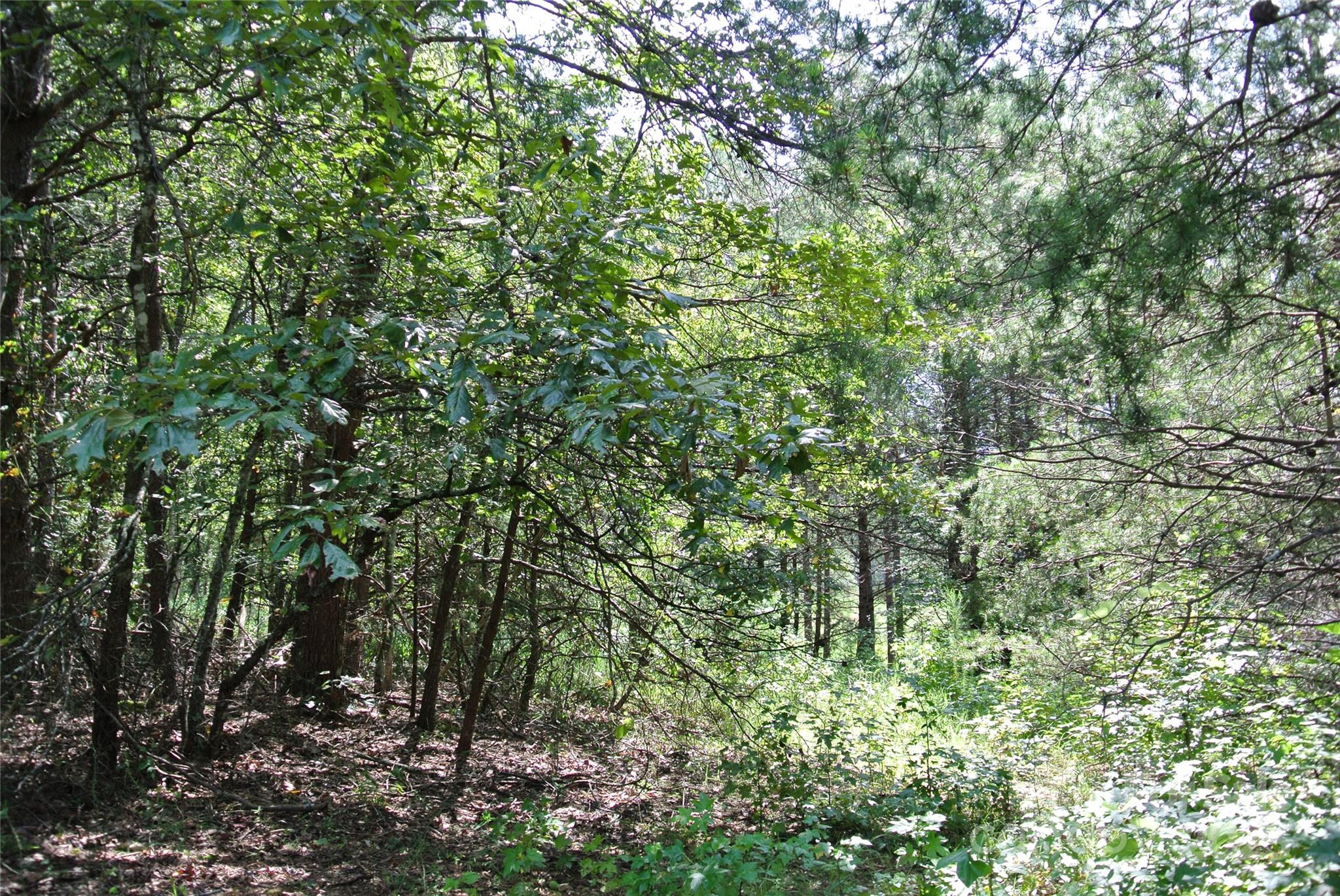 Lot 32 Whispering Pines Circle
