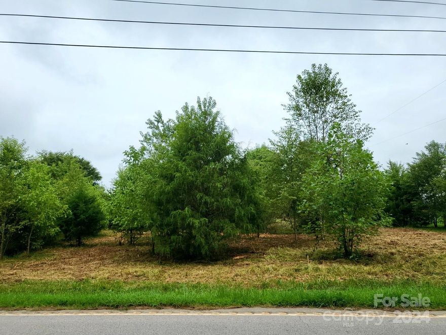 Discover the perfect opportunity to build your dream home on this expansive 1-acre lot situated in the highly sought-after Clover School District. This level lot comes equipped with well and septic, making it a convenient and ready-to-build location. Mobile homes are welcome, providing flexibility for your housing needs. Enjoy the prime location, just a short drive from I-85, Kings Mountain State Park, and the exciting new casino. This property combines the tranquility of a spacious lot with easy access to recreational and entertainment amenities, making it an ideal choice for your new home.