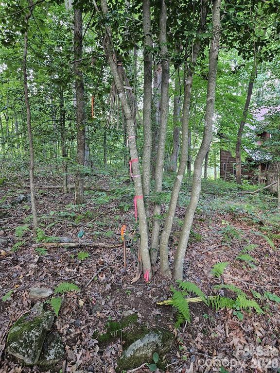00 Hannah Hill Road 3