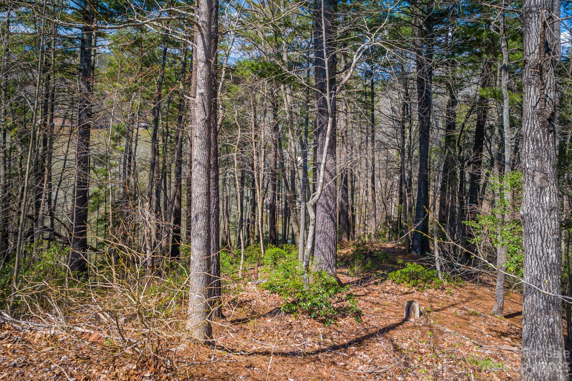 The Arbor at Lake James - Land