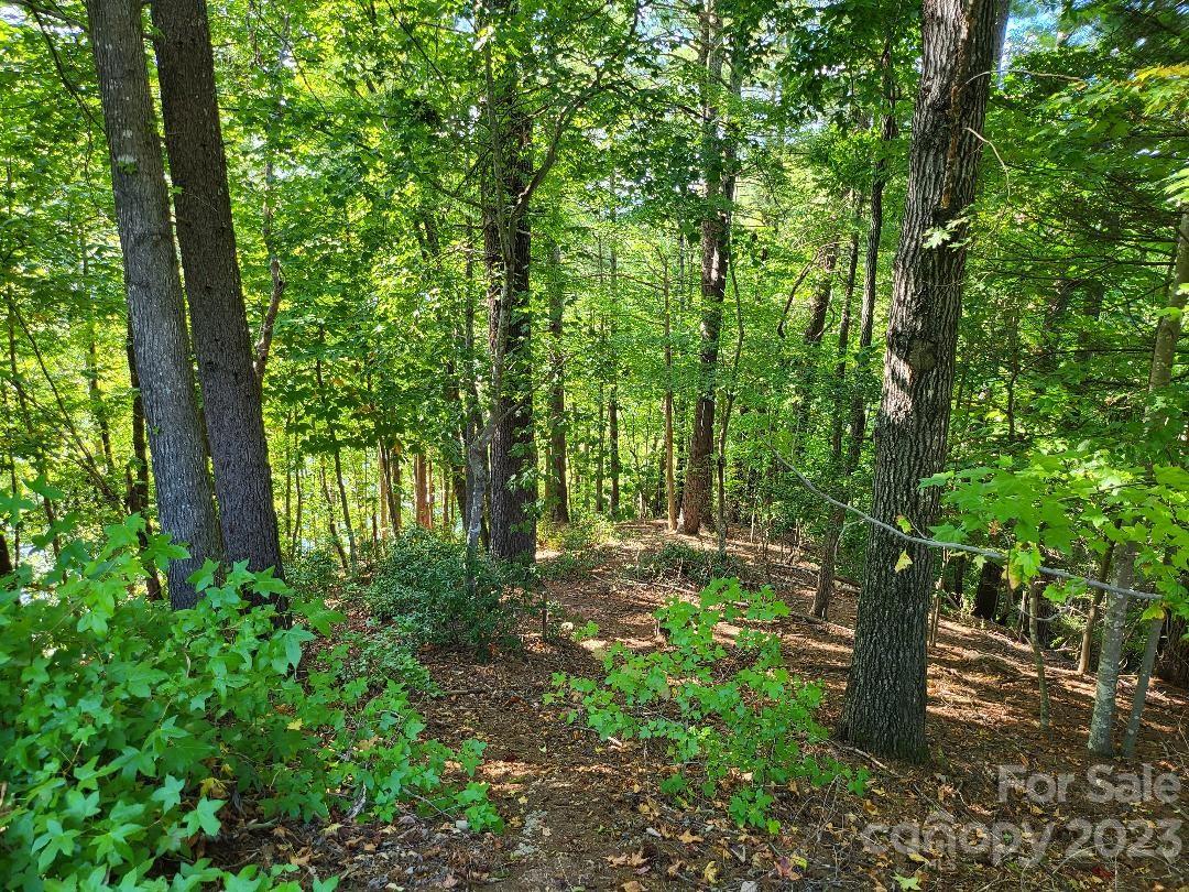 The Arbor at Lake James - Land