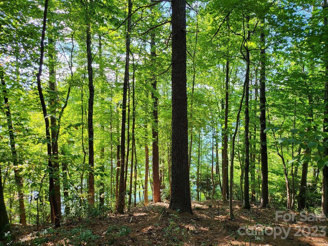 The Arbor at Lake James - Land