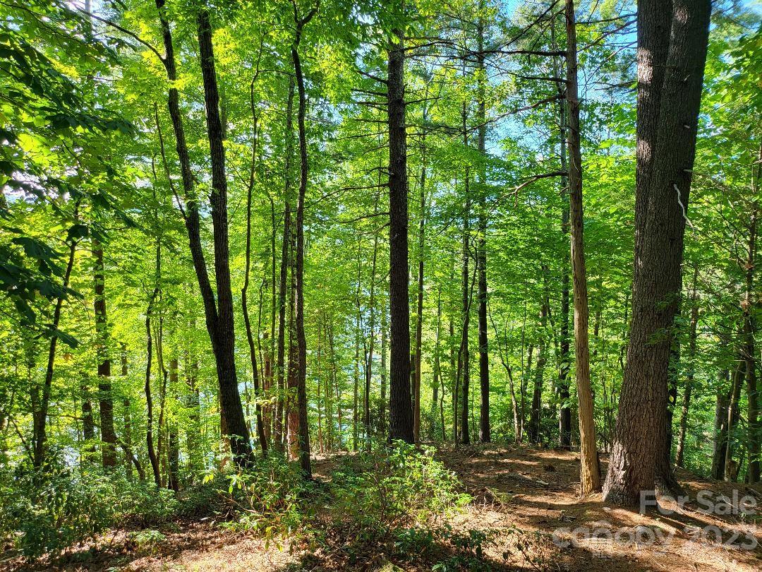 The Arbor at Lake James - Land