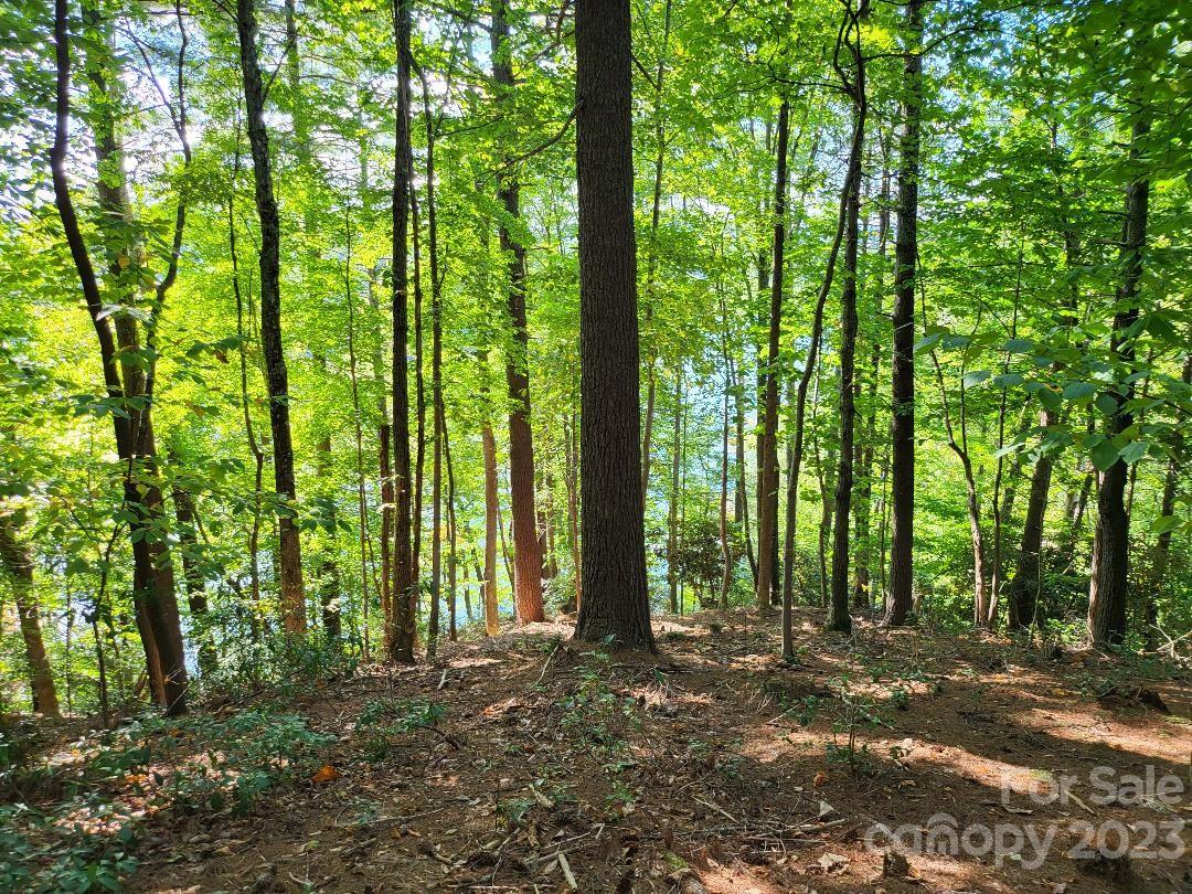 The Arbor at Lake James - Land