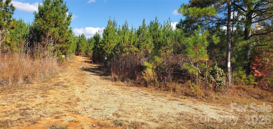 This incredible 142+/- acre tract offers extensive paved road frontage, a portion of lake frontage on Badin Lake, and even the potential for a dedicated lake lot. To make it even better, a public boat ramp adjoins the property, giving you effortless access to fishing, boating, and lake days all year long. The property features naturally regenerated pine timber from a cutover roughly three years ago - creating a blank canvas for recreation, investment, or future development. The land lays beautifully and includes a scenic spring-fed creek running through part of the tract - adding both charm and natural appeal. Whether you're looking for a private recreational retreat, future homesite potential, or a long-term land investment near the water, this property checks all the boxes.