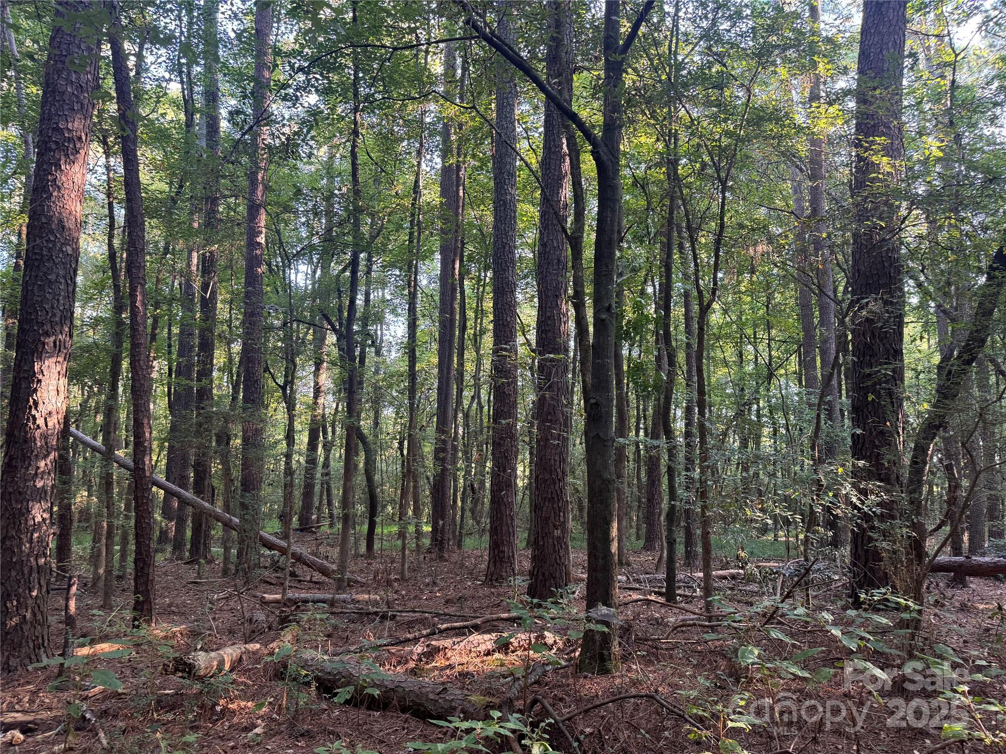 Serenity Creek - Land