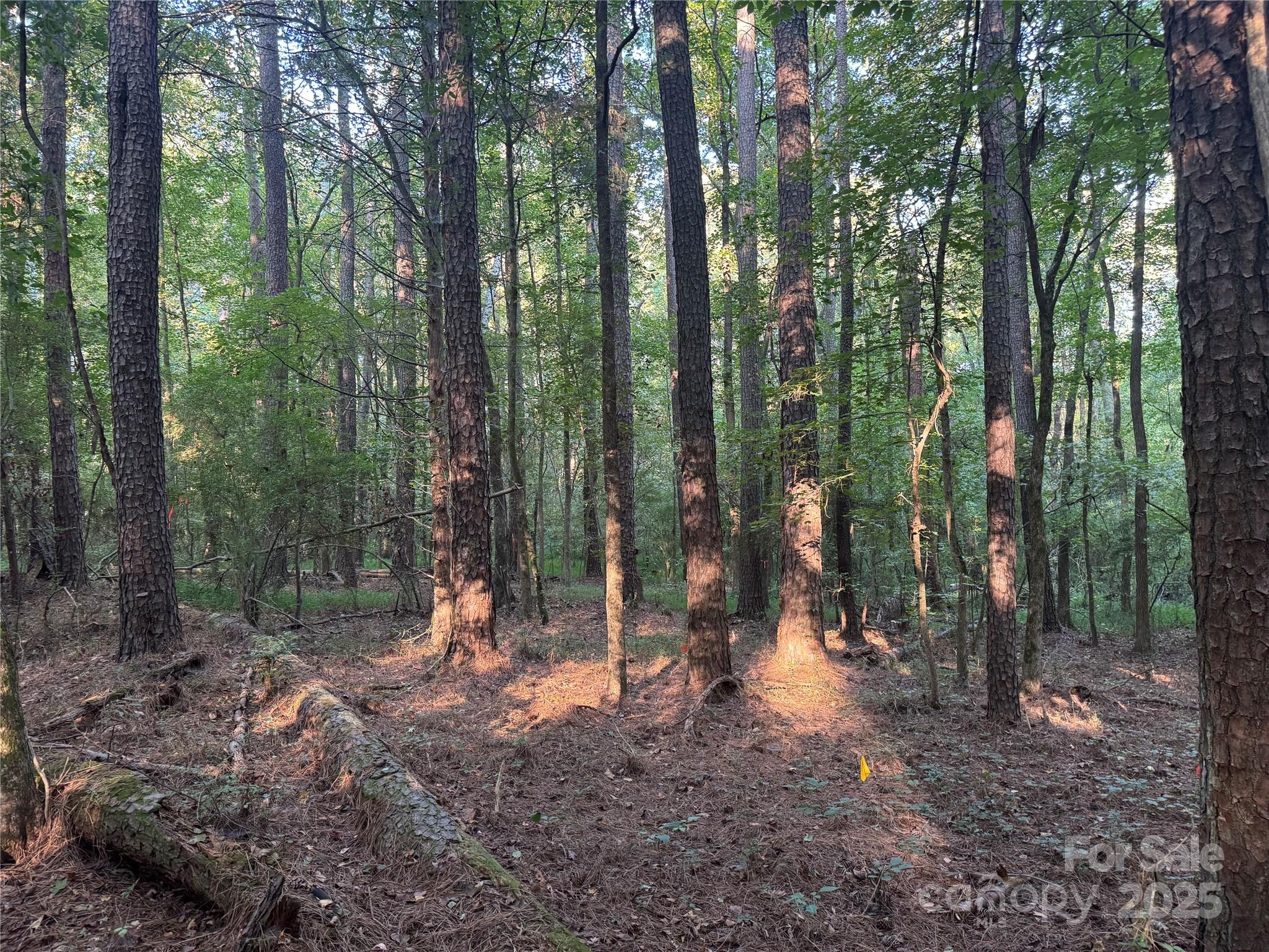 Serenity Creek - Land