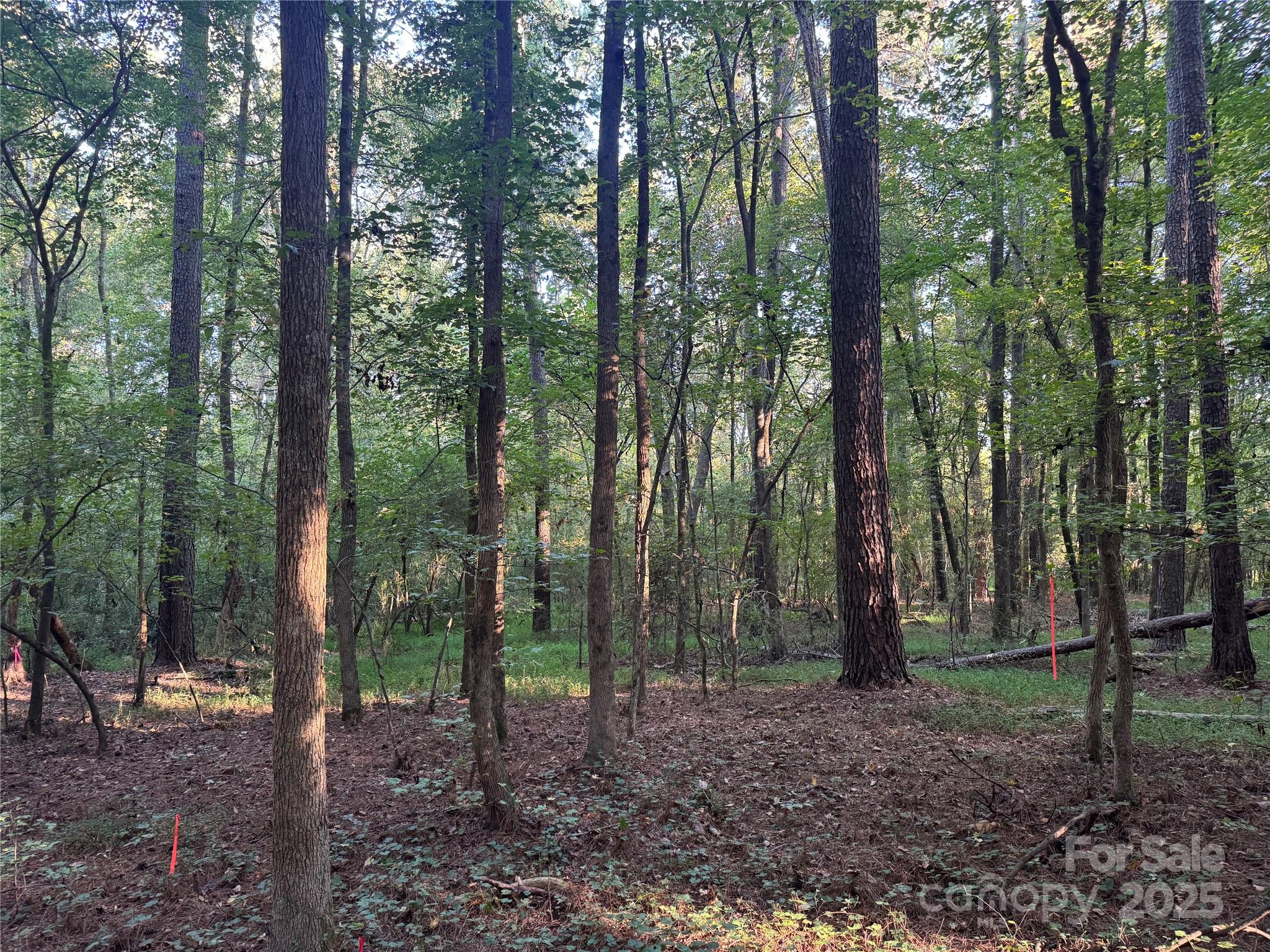 Serenity Creek - Land