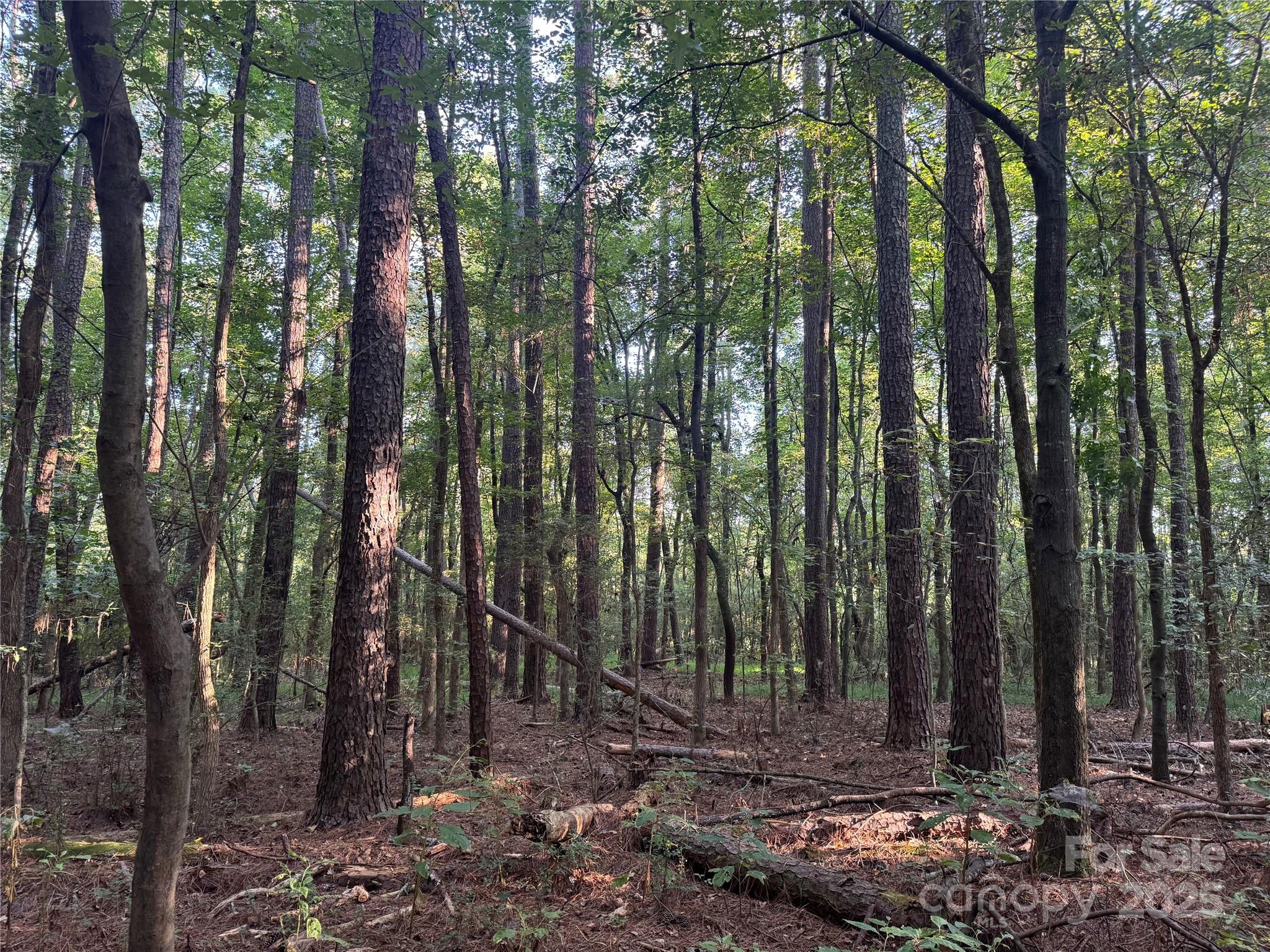 Serenity Creek - Land