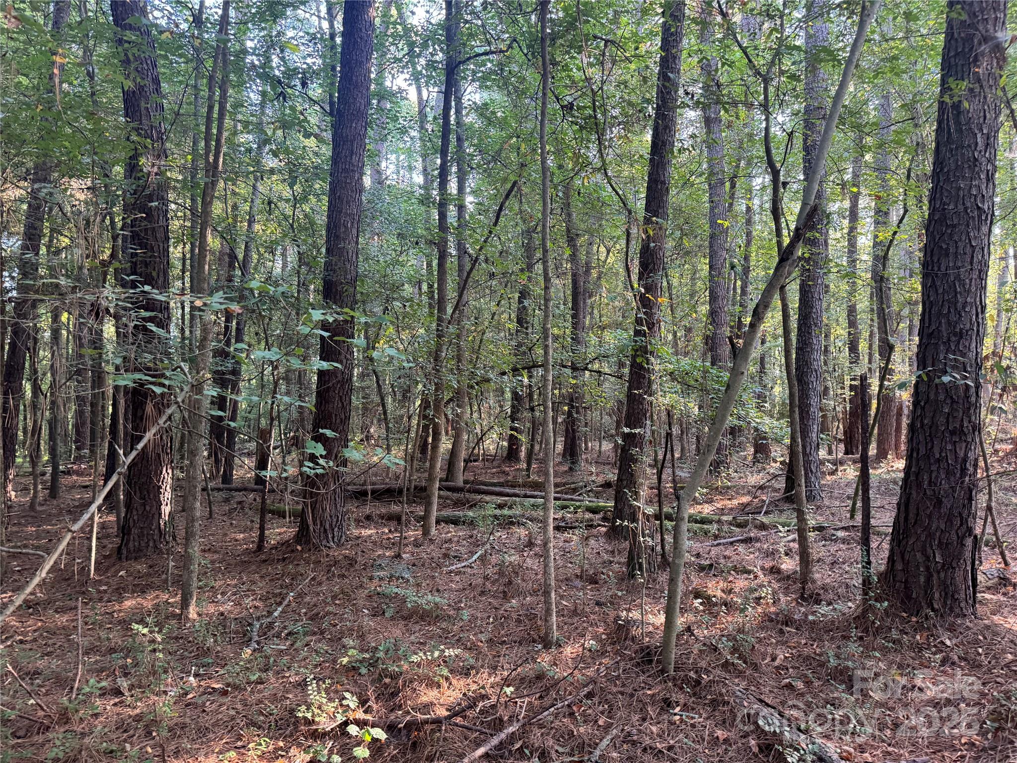 Serenity Creek - Land