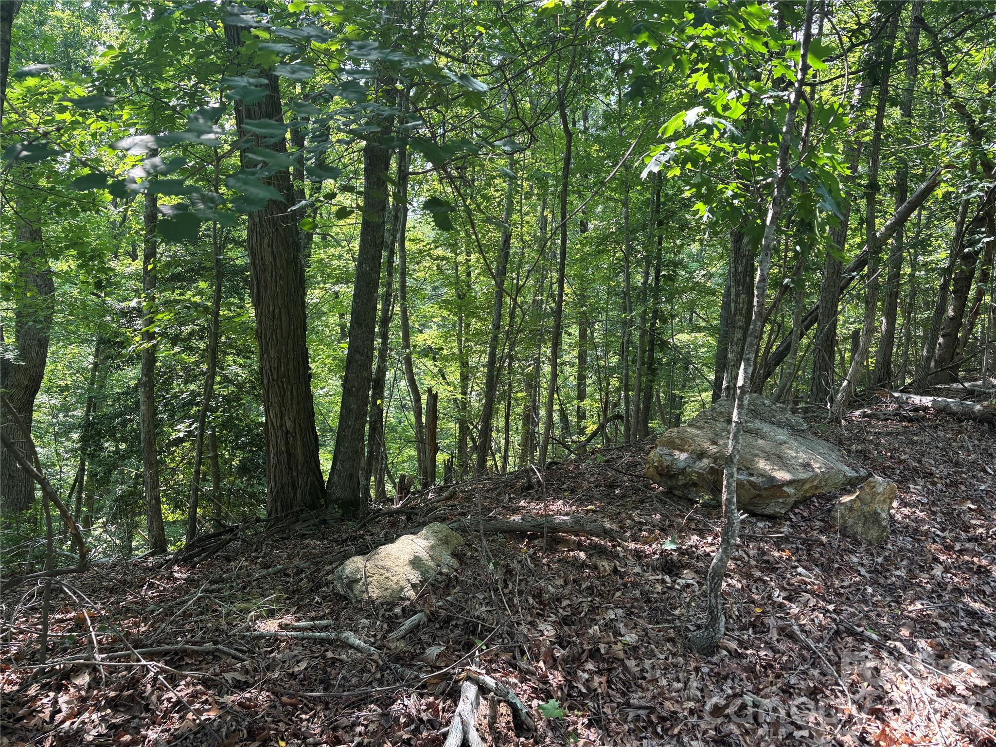 Lot 13 Crab Apple Court